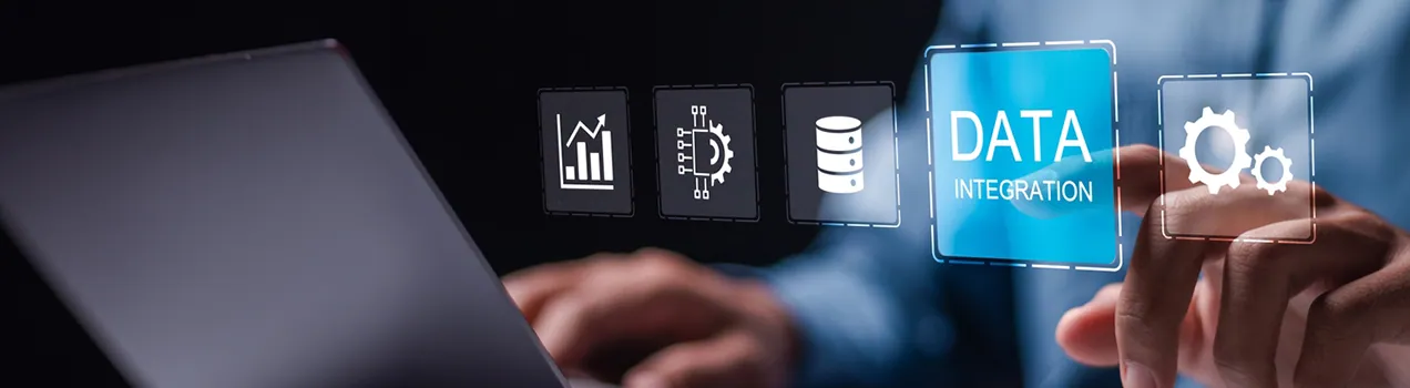 Enterprise Data Integration Services