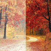 Outsource Photoshop Color Correction Services