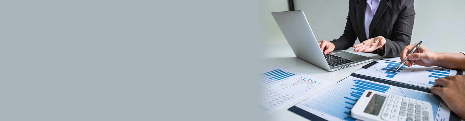 Professional CPA Services