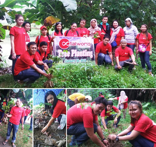 Flatworld Solutions Tree Plantation